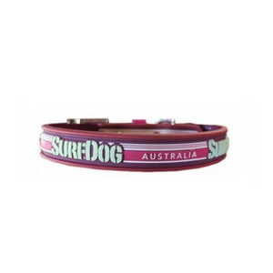 Surf Dog Waterproof Dog Collar - Pink