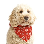 Pet Pooch Boutique - Mini Snowflake Dog Bandana – Red