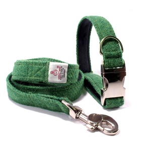 Bright Green Collar & Lead Set