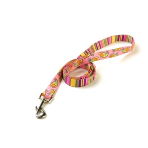 Pink Stripes Paisley Lead