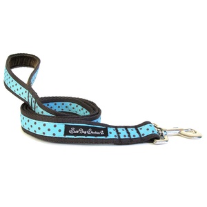 Classic Brown on Aqua Polka Dot Dog Lead