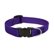 Collarways - 1/2" Width Purple Lupine Dog Collar