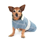 Minkeys Tweed - Polo Tweed Dog Coat