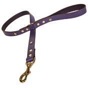 Creature Clothes - Purple Brass Stars Classic Leather Dog Lead