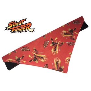 Classic Ken Masters Arcade Dog And Cat Bandana