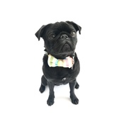Thurlstone Stripes Bowtie