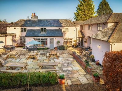 The Chilterns Fox, Buckinghamshire