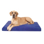 Big Dog Bed Company - Foam Dog Bed - Bluebell