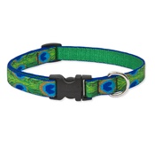 Collarways - 1/2" Tail Feathers Lupine Dog Collar