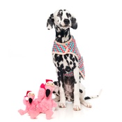 FuzzYard - Flo the Flamingo Christmas Dog Toy