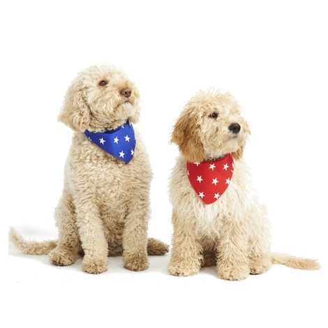 dog bandanas pets at home