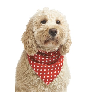 Polka Dot Dog Bandana - Red