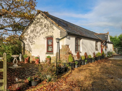 Burnt Oak Stables, Flintshire