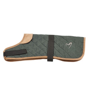 Outdoor Worcester Dog Coat - Green