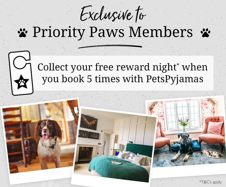 Priority Paws Redemption Petspyjamas