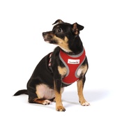Doodlebone - Reflective Airmesh Dog Harness – Red