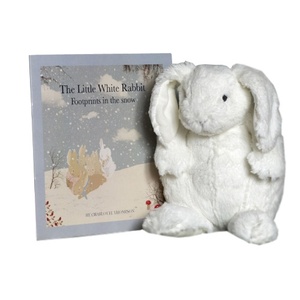 Rabbit Soft Toy and Book