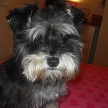 Charlie