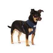 Doodlebone - Airmesh Dog Harness – Navy