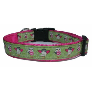 Owl Dog Collar
