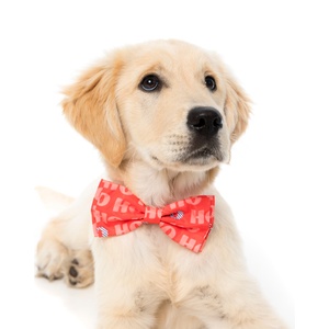 HO HO Christmas Bow Tie