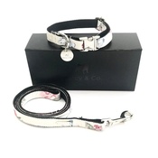 Percy & Co - Collar and Lead Set - Disley
