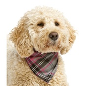Pet Pooch Boutique - Pink Tartan Dog Bandana