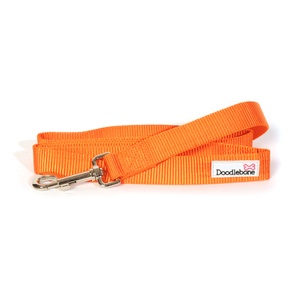 Bold Dog Lead – Orange