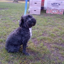 Olly