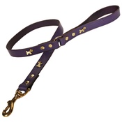 Creature Clothes - Purple Brass Dogs Classic Leather Dog Lead