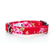 Pet Pooch Boutique - Red Vintage Dog Collar 1" Width