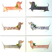 Dachshund Design - Christmas Daxy Pack of 6