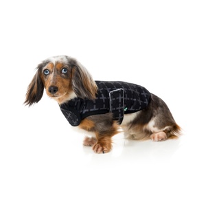 Yeezy Wrap Dog Coat