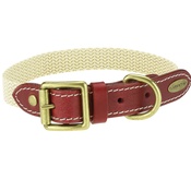 Clementine est. Dogs - Astor Webbing Dog Collar – Burgundy