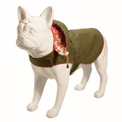 Baker & Bray - Hampstead Dog Hoodie – Olive & Summer Rose