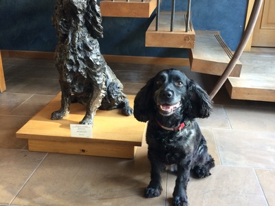 Feversham Arms Hotel, Yorkshire