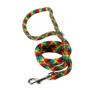 Braided Dog Lead – Green, Red & Yellow