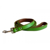 The Paws Pet Supplies - Fusion Lime Leather Dog Lead
