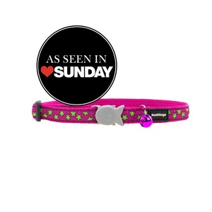 Red Dingo Lime Stars on Hot Pink Cat Collar
