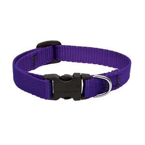 Purple Lupine Dog Collar