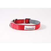 Doodlebone - Bold Padded Collar - RED