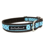 Salt Dog Studios - Classic Brown on Aqua Polka Dots Dog Collar