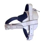 The Paws Pet Supplies - Colour Fusion Leather Harness – White