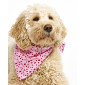 Pet Pooch Boutique - Valentines Love Dog Bandana