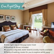 PetsPyjamas - Down Hall Hotel & Spa Exclusive One Night Stay Voucher