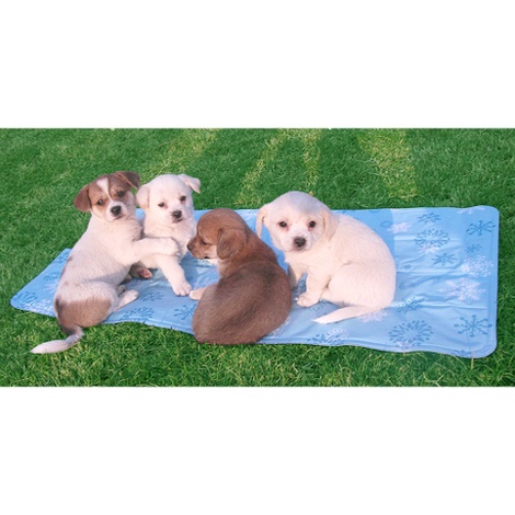 chillr dog cooling mat