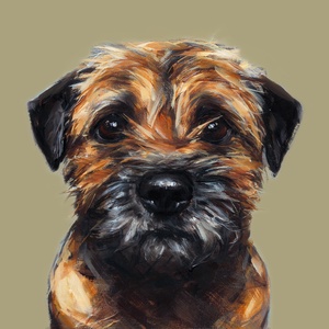 Border Terrier Art Print