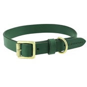 Clementine est. Dogs - Flat Beaton Collar - Green