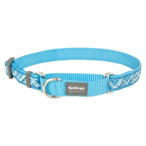 Flanno Martingale Dog Collar – Turquoise