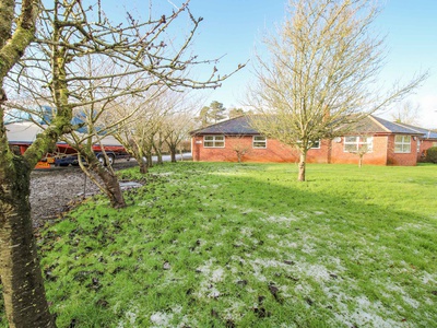 Blackwater Meadows, Shropshire